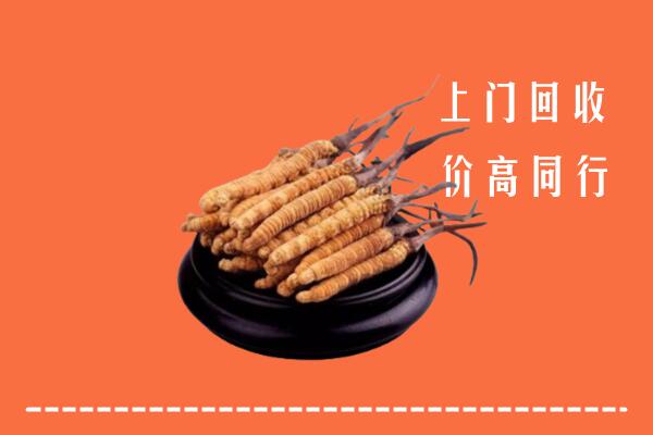 高价求购：大庆回收散虫草