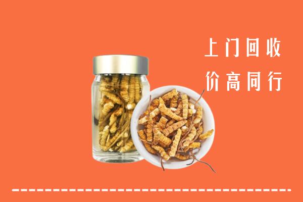 大庆回收冬虫夏草